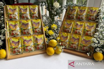 Ajinomoto luncurkan saus khusus untuk salad buah