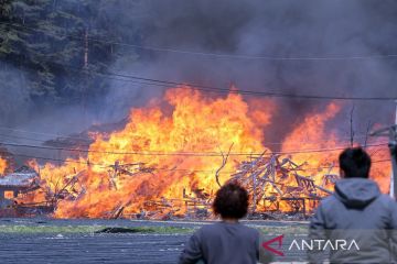 Kebakaran hutan di Korea Selatan