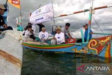 "Restocking", benih rajungan ditebar APRI di alam liar laut  di Jatim