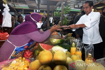 Jokowi: Saya mutar ke banyak provinsi lihat harga pangan stabil