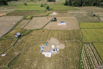 PERCEPATAN TANAM PADI PASCA PANEN