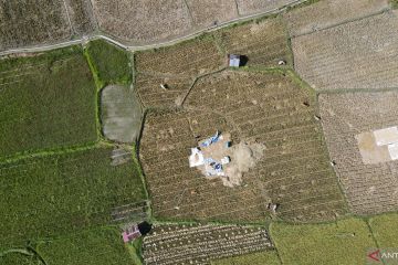 PERCEPATAN TANAM PADI PASCA PANEN