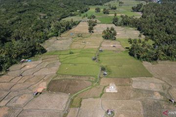PERCEPATAN TANAM PADI PASCA PANEN