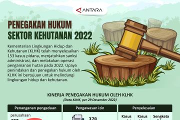 Penegakan hukum sektor kehutanan 2022