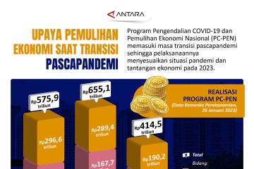 Upaya pemulihan ekonomi saat transisi pascapandemi