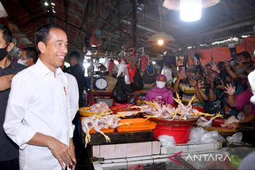 Presiden sebut harga pangan turun jelang Lebaran kecuali bawang bombai