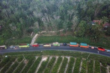 Arus mudik jalan lintas Sumatera Jambi