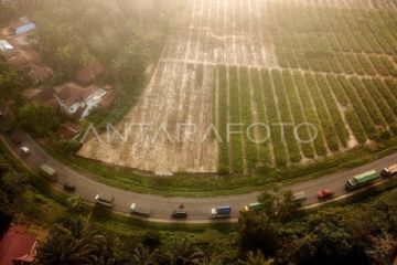 Arus mudik jalan lintas Sumatera  Jambi