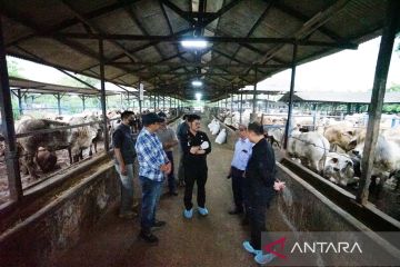 Mentan pastikan stok daging sapi di Bekasi cukup suplai daerah lain