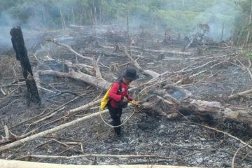 Delapan titik panas terdeteksi BMKG di Kalimantan Timur