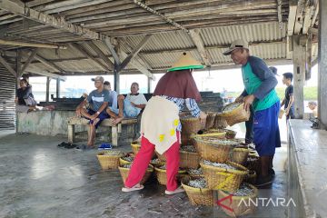 Anggota DPR RI bentuk Kampung Nelayan Maju di Pulau Pasaran