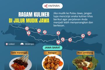 Ragam kuliner di jalur mudik Jawa