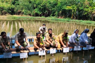 Pemprov DKI ajak biarawati tanam ratusan mangrove di PIK