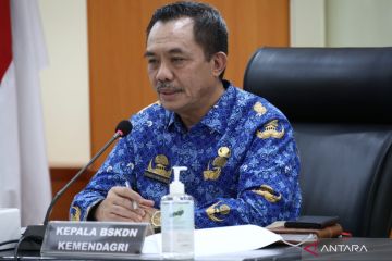 BSKDN: Pemda terapkan diversifikasi untuk jamin ketersediaan pangan