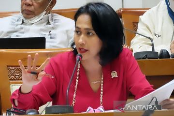 DPR RI minta rapat dengan Panglima TNI bahas praktik jual beli senjata