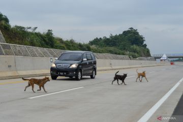 Penggunaan jalur fungsional Tol Cisumdawu