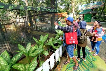 Tingkat kunjungan KBS meningkat dratis saat libur Lebaran