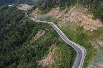 ARUS BALIK TRANS SULAWESI KEBUN KOPI