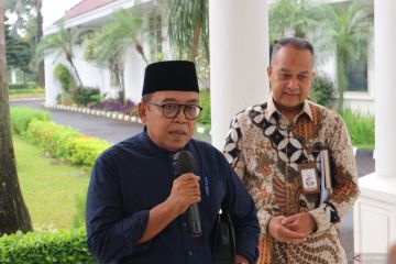 Wapres Ma'ruf berencana kunjungi tanah Papua