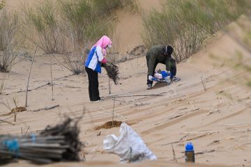 Mengintip aktivitas pekerja pengendalian pasir Gurun Kubuqi Mongolia