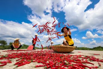 China tingkatkan dukungan keuangan bidang pertanian dan pedesaan