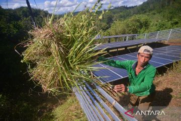 Kementan manfaatkan infrastruktur air antisipasi El Nino