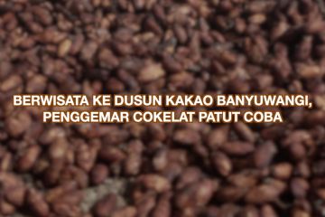 Berwisata ke Dusun Kakao Banyuwangi, penggemar cokelat patut coba