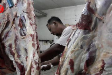 Dispertan Kota Semarang pantau ketersediaan daging sapi jelang Lebaran