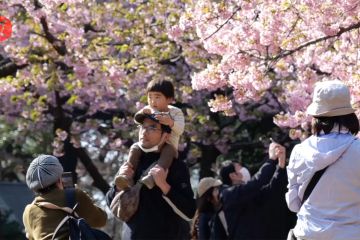 Survei: 49,4 persen warga Jepang tak ingin punya anak