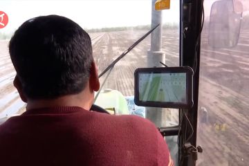 Teknologi pertanian modern fasilitasi penanaman kapas di Xinjiang