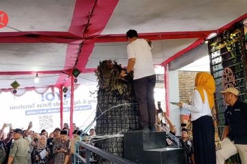 Tradisi Kue Lopis raksasa yang terus lestari di Pekalongan