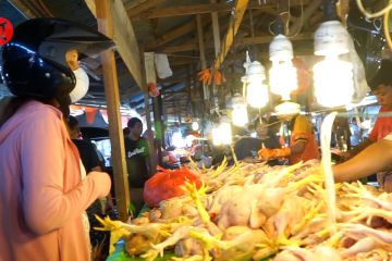 Disperindag Kota Gorontalo minta warga tidak khawatir stok ayam potong