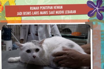 Rumah penitipan hewan jadi bisnis laris manis saat mudik lebaran