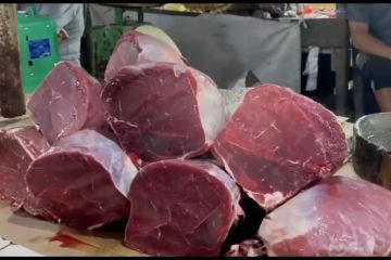Sidak Pasar Tarakan temukan lonjakan harga daging