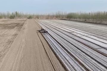 Teknologi & mesin modern bantu bajak lahan musim semi di Xinjiang