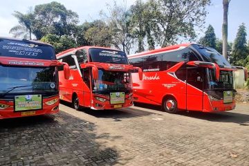 Terminal di Malang cek kelayakan, Pemkab Batang sediakan 3 bus gratis