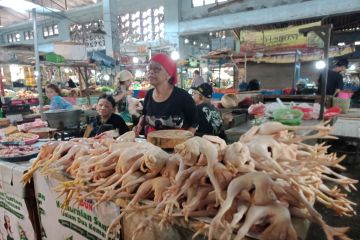 Kenaikan harga daging ayam picu inflasi April di Jember 0,21 persen