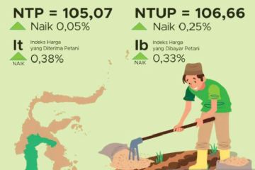 BPS: Nilai tukar petani  Sulsel  105,07 per April 2023