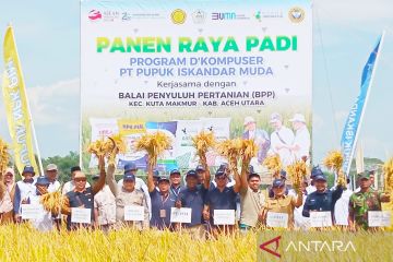Program D'Komposer di Aceh Utara tingkatkan produksi padi petani