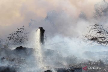 Kebakaran lahan di Dumai