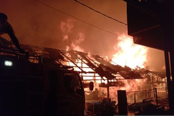 Puluhan korban kebakaran di Gayo Lues, Aceh mengungsi di tenda