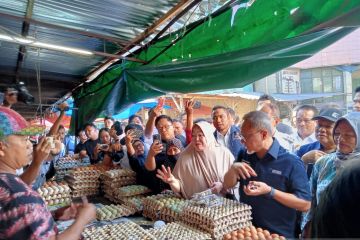 Menteri Perdagangan sidak harga sembako di Pasar Terong Makassar