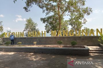 Bantul tambah spot foto di Kebun Mangunan tingkatkan daya tarik wisata