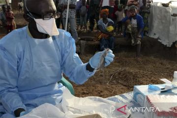 Nigeria catat 20 kasus baru demam Lassa
