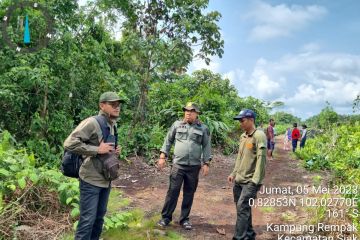 BB KSDA Riau: Seekor harimau sumatera terpantau kamera jebak di Siak