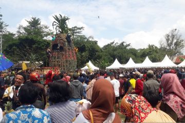 Masyarakat berebut nanas gratis dalam festival di Kediri