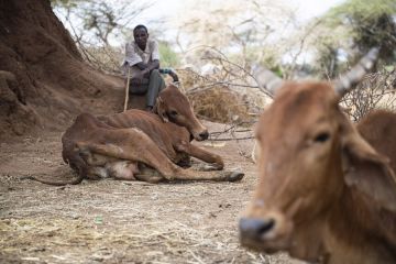 WFP dan UNEP sepakat tingkatkan ketahanan pangan dan air global