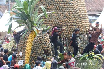 Festival nanas unggulan di lereng Gunung Kelud