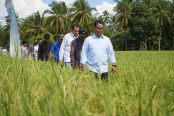 Pemprov Sulbar bantu alat pertanian petani Bunde