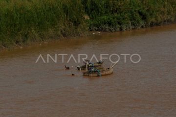 Mencari Batu Bara di Aliran Sungai